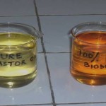 castor oil biodiesel