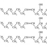 Castoroil polymer