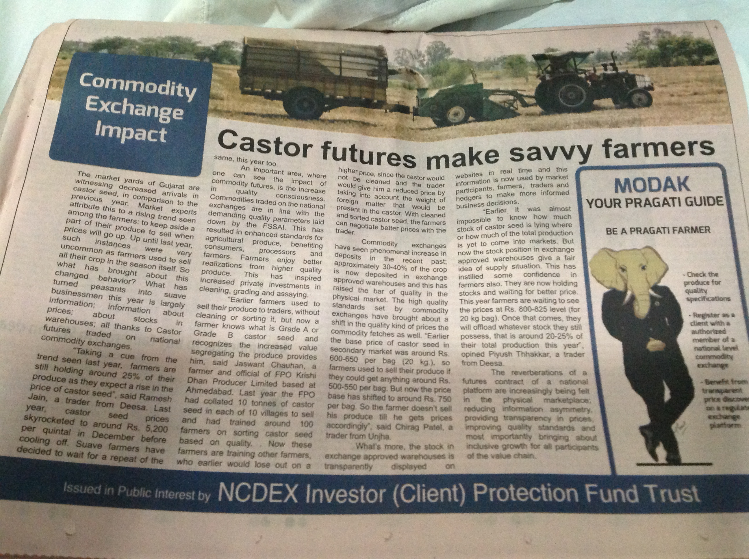castor futures
