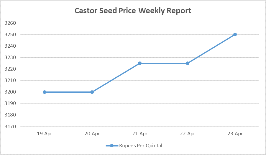 Castor Seed Price Weekly Report: Apr 18 – 23, 2016