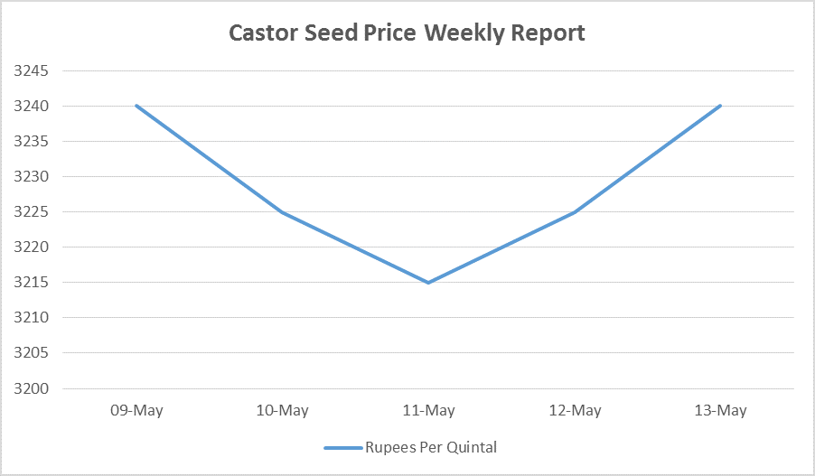 Castor Seed Price Weekly Report: May 09 – 13, 2016