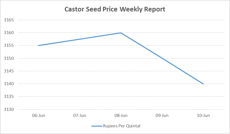 castor seed prices - jun 6 - 10, 2016