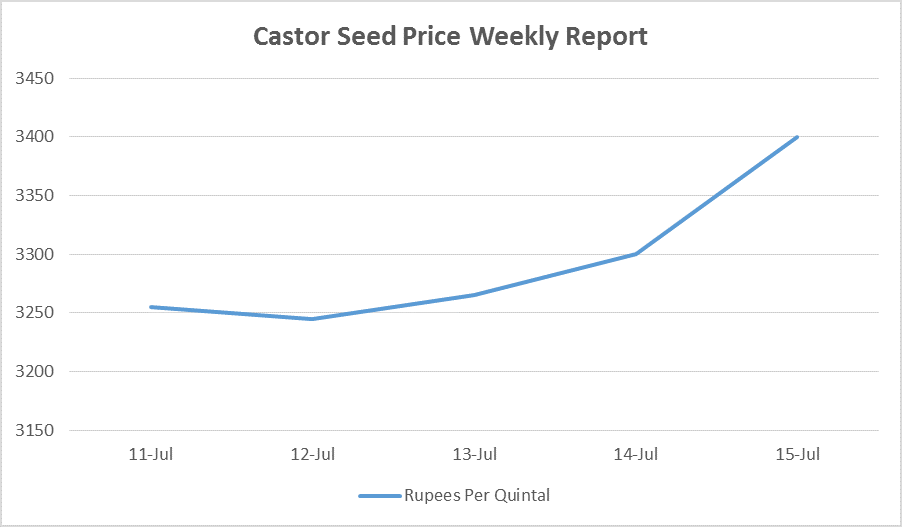 Castor Seed Price Weekly Report: Jul 11 – 15, 2016