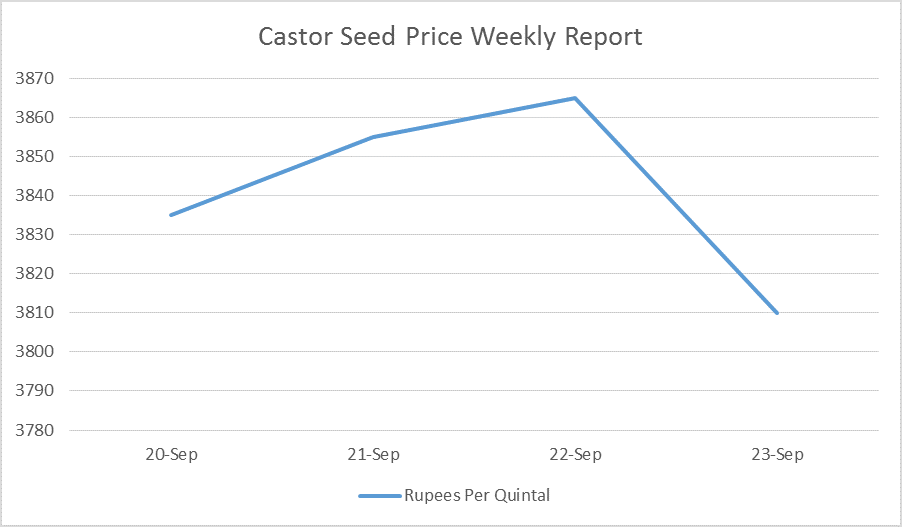 Castor Seed Price Weekly Report: Sep 20 – 23, 2016