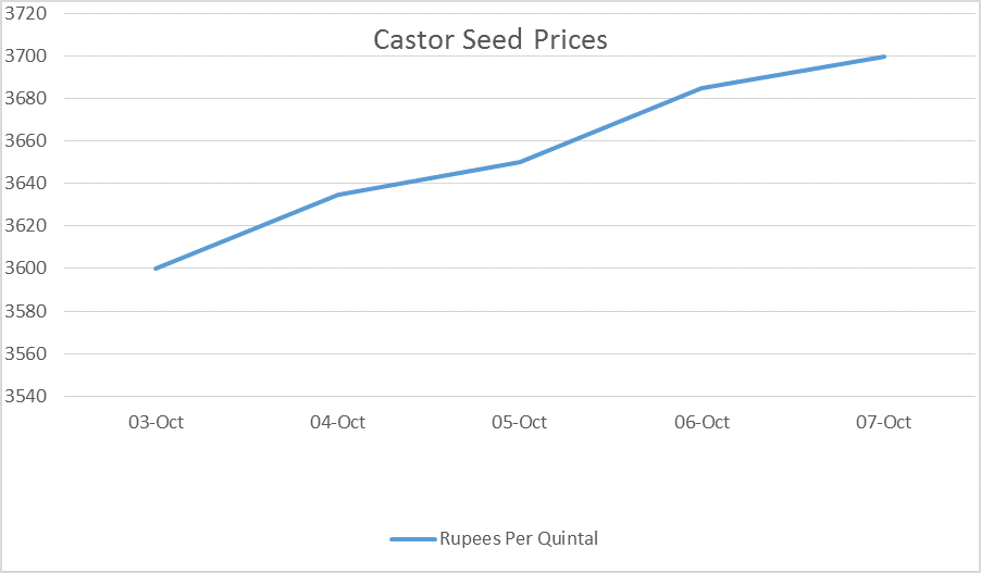 Castor Seed Price Weekly Report: Oct 03 – 07, 2016