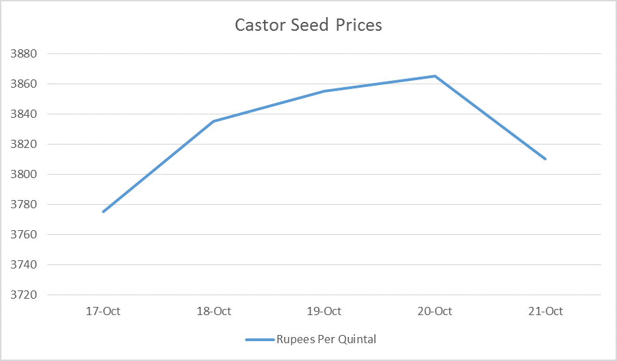 Castor Seed Price Weekly Report: Oct 17 – 21, 2016