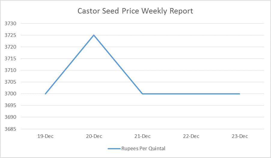Castor Seed Price Weekly Report: Dec 19 – Dec 23, 2016