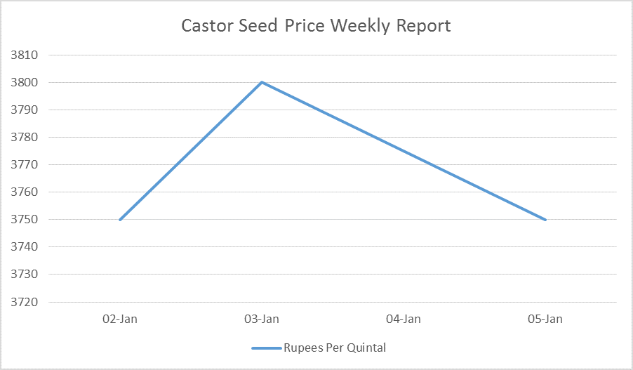 Castor Seed Price Weekly Report: Jan 02– 06, 2017