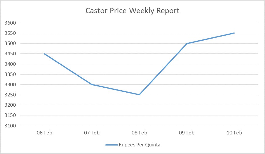 castor prices - 06 to 10, 2017