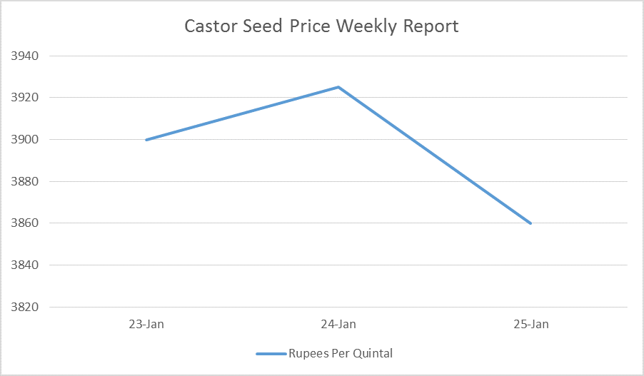 Castor Seed Price Weekly Report: Jan 23 – 25, 2017