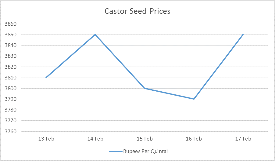 castor seed prices feb 13 to 17, 2017