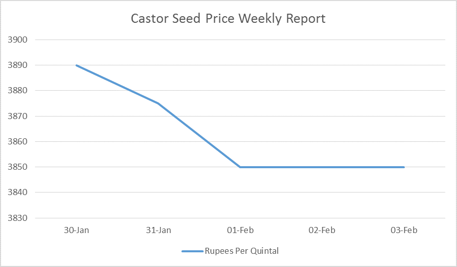 Castor Seed Price Weekly Report: Jan 30 – Feb 03, 2017