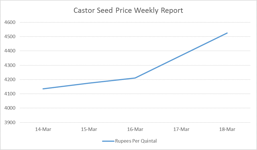 castor seed prices - 14 - 18 mar, 17
