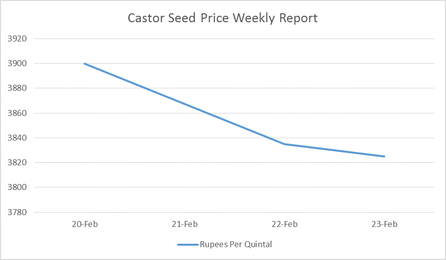 Castor Seed Price Weekly Report: Feb 20 – 23, 2017