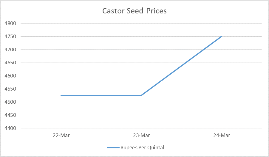 castor seed prices - mar 20 - 24, 2017