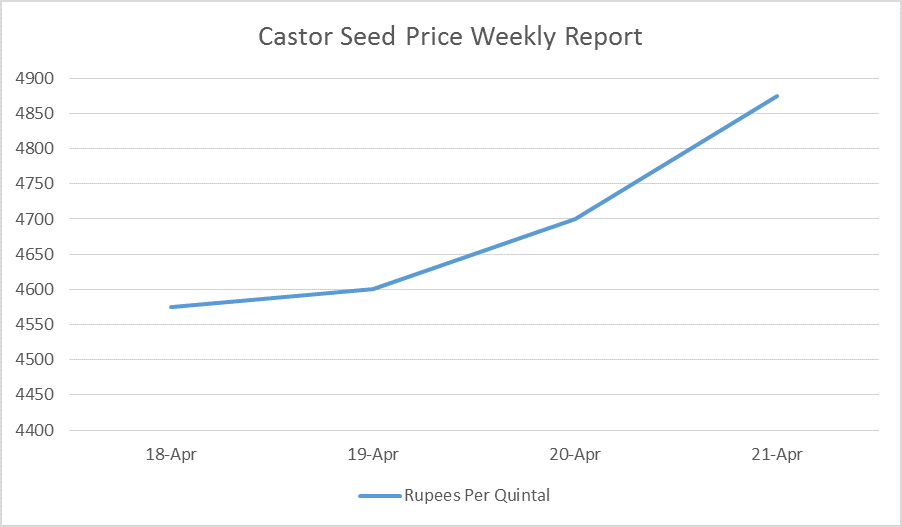castor seed prices - Apr 18 to 21, 2017
