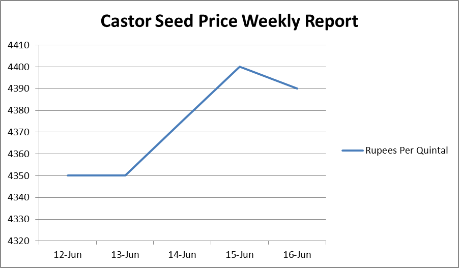 Castor Seed Price Weekly Report: Jun 12 – 16, 2017
