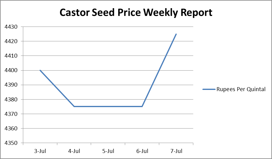 castor seed price - jul 03-07, 2017