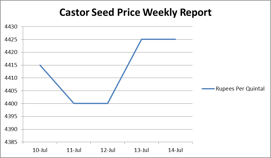 Castor Seed Price Weekly Report: Jul 10 –14, 2017