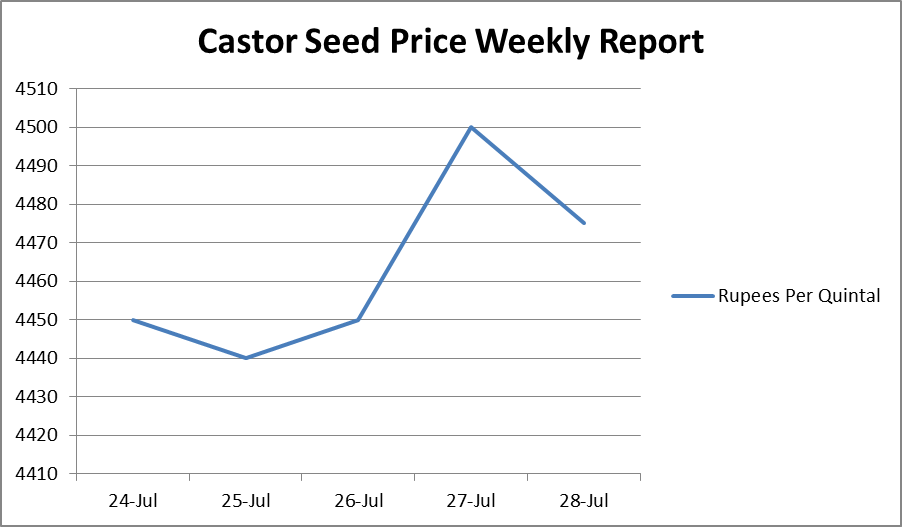 Castor Seed Price Weekly Report: Jul 24 –28, 2017