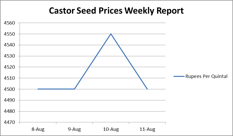 Castor Seed Price Weekly Report: Aug 08 –12, 2017
