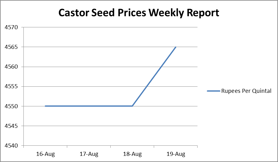 Castor Seed Price Weekly Report: Aug 16 –19, 2017