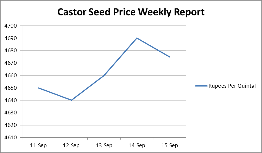 Castor Seed Price Weekly Report: Sep 11-15, 2017