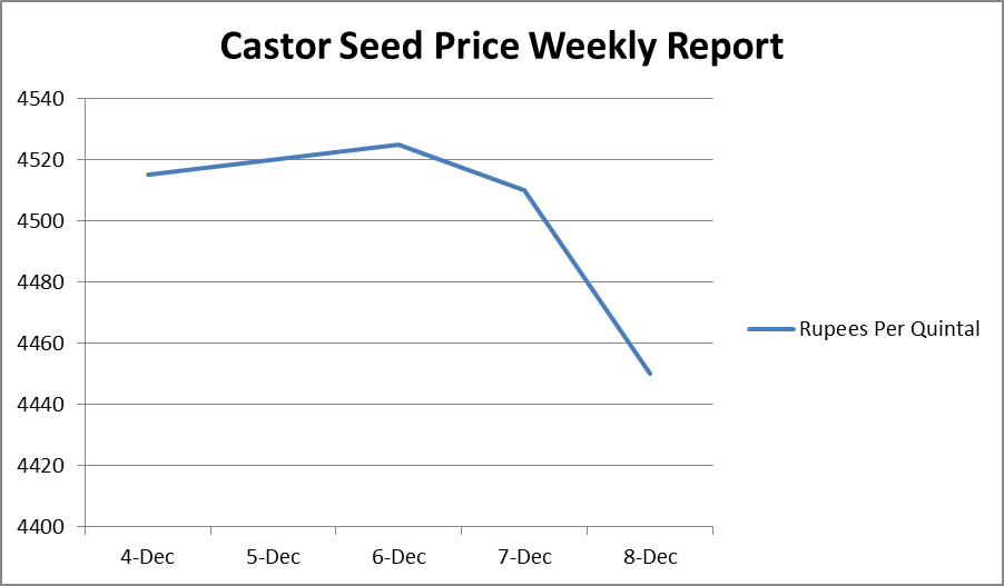Castor Seed Price Weekly Report – Dec 04 - 08, 2017