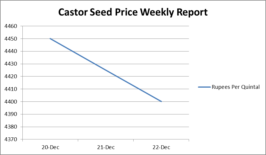 Castor Seed Price Weekly Report – Dec 20 – 22, 2017